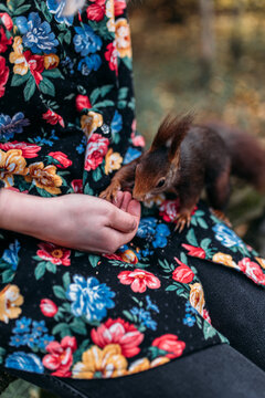 Girl feeding squirrel.