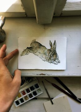 54 493 Best Hare Drawing Images Stock Photos Vectors Adobe Stock