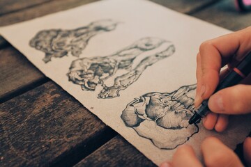 Dodo skull vol. 2
