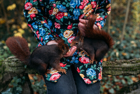 Girl feeding chipmunks.