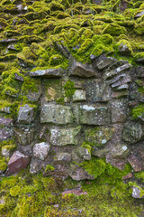 Old mossy wall stones close up view.