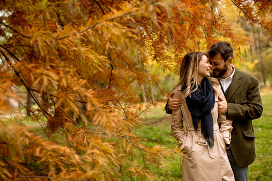 Young couple walking in the autumn park
