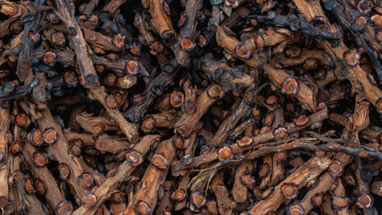 Stack of Arenga pinnata fruit stalk as the waste of kolang kaling (traditional beverage from Indonesia) industry, potentially used for fertilizer or bioenergy industry