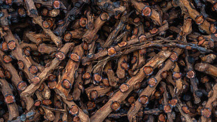 Stack of Arenga pinnata fruit stalk as the waste of kolang kaling (traditional beverage from Indonesia) industry, potentially used for fertilizer or bioenergy industry