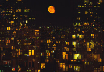 yellow moon over the city