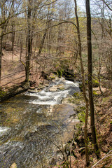 Obraz premium Top of the Falls