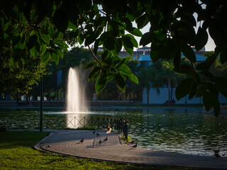 Surtidor de agua en un bonito parque urbano lleno de palomas al atardecer