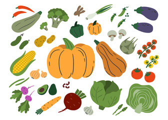 Vegetables isolated on white background