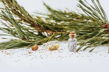 New year golden gifts for merry christmas with fir branches on white background