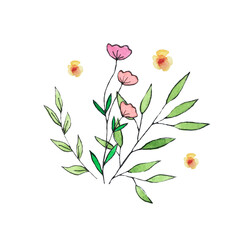 A bouquet of flowers drawn in watercolor. Botanical illustration for any design.