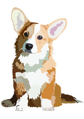  Cute dog. Corgi. Pet. Puppy. Animals