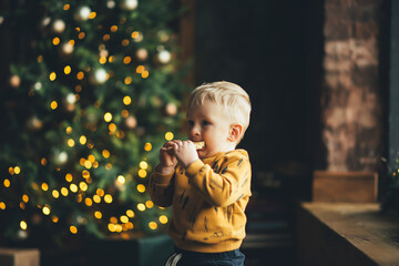 little boy eating cookies near the christmas tree. Christmas gifts for a child