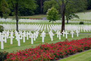 Ville de Saint-Avold, cimetière militaire américain, massif de roses rouges en premier plan,...