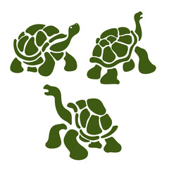 Tortoises illustration