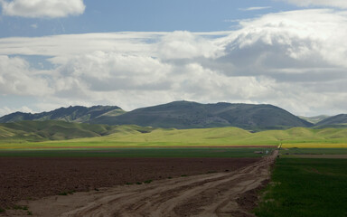 San Joaquin valley farmland with heavy clouds - 392332856