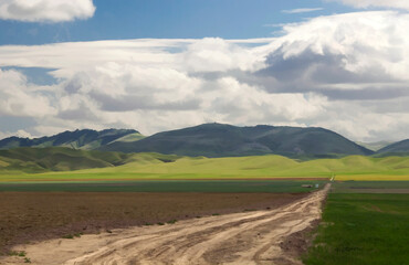 San Joaquin valley farmland with heavy clouds
- 392332858