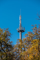 Obraz premium Sendemast im herbstlichen Wal