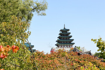 National folk museum of  Korea