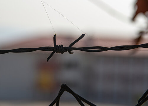 steel barbed connection wire image