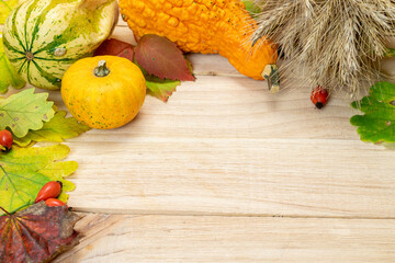 Autumn pattern. Natural harvest with rye spike orange pumpkin, fall dried leaves, red berries and...