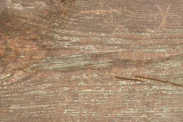 texture wood surface background in different colors