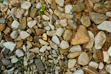 Rock on fall for pathway or walk.