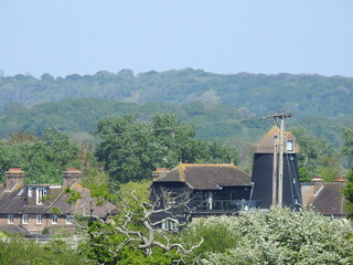 Old buildings between the trees