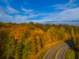 Road bend in the autumn falling golden trees background and blue sky