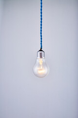 hanging bulb