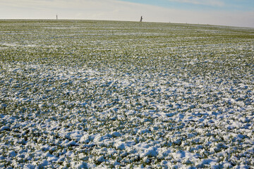 winter farm field landscape with frosts