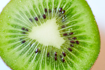 slice of kiwi fruit