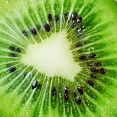 slice of kiwi fruit