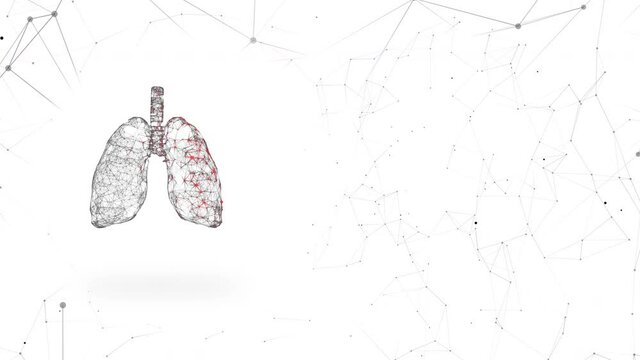 4k video of lung infected with virus on blue.
