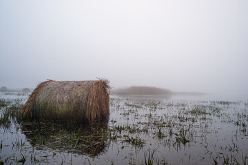 Zalana łąka rozlewiska Bzury pod Łęczycą, zalane bele siana © Piotr Szpakowski