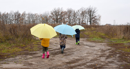 small children walk around the field with umbrellas. autumn rainy day. children walking under umbrellas