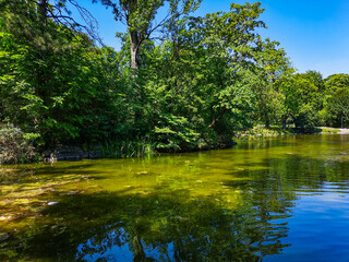 Fototapeta na wymiar Green lake in park with trees around at sunny day