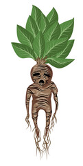 living monster mandragora mandrake crying plant