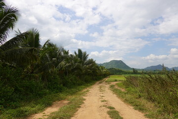 Fototapeta premium road in the mountains, countryside 