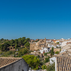 Fototapeta na wymiar Aerial view of Ubeda city with the roof of the houses, Spain