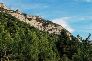 high mountains green forest and sky with clouds of landscape