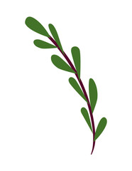 branch with green leaf icon on white background