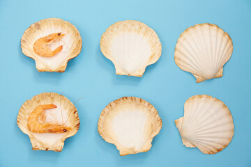 Shrimp in Shell on Blue Background. Seafood. Creative Feed
