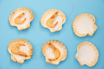 Shrimp in Shell on Blue Background. Seafood. Creative Feed