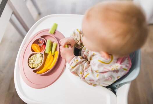 Baby Sitting In A Baby Chair And Eating A Baby Lead Weaning Meal 