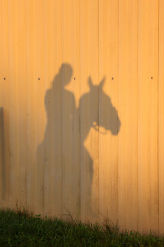 Shadow of an nknown equestrian rider a the wall