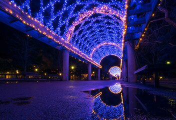 Lights reflected in a puddle