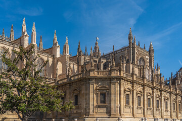 Fototapeta na wymiar Seville Cathedral, Catedral de Santa Maria de la Sede, Gothic style architecture in Andalusia