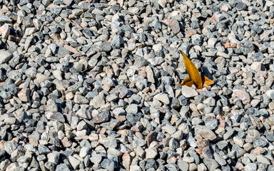 background texture-close up of multicolored landscaping  gravel and two small golden autumn leaves...