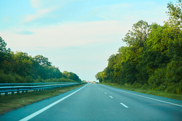 Fototapeta premium road in the forest