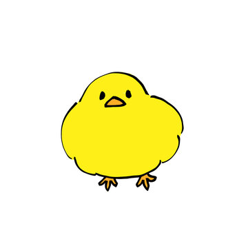 ヒヨコ　黄色　鳥　 アイコン